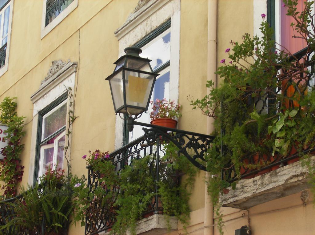 Dias E Dominguez Hostel Lisbon Exterior photo